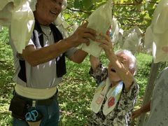 Ƃ񂳂̐ԍ≀ւ̓eʐ^1