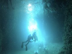 ݁[̐̓AJiT_CrOւ̓eʐ^1