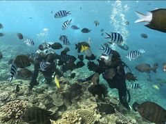 ݁[̐̓AJiT_CrOւ̓eʐ^2