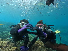 ݁[̐̓AJiT_CrOւ̓eʐ^3