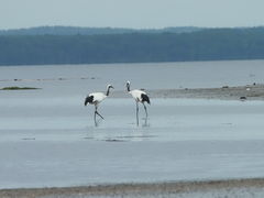 ݂̍lC`[Z^[ւ̓eʐ^1