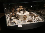 񂱂ނ̈ɐЈՂ̓eʐ^1