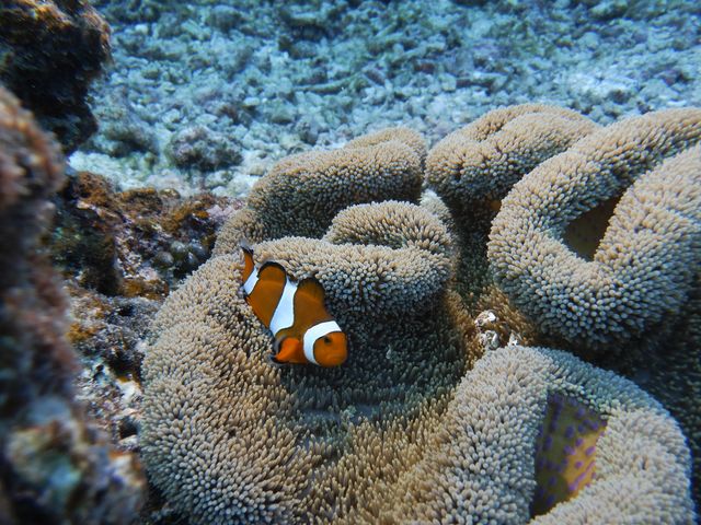 �����J�������Q�ŃG���g���[�B
�j���ɉ�܂���(*�L�ցM*)_EARTH-LENS