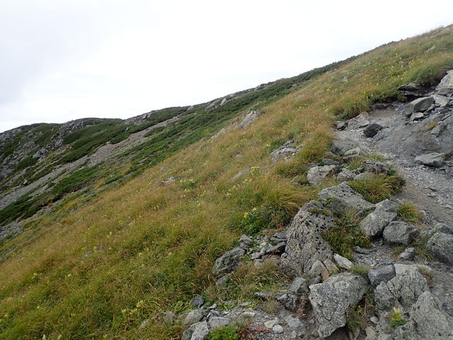 �}�C�a�n�n����̃L�^�_�P�\�E�̓��e�ʐ^1