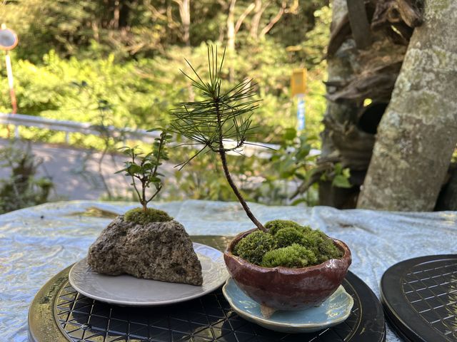 ���P�[�V�������ō�_�ۋʍH�[ TACHIOKAYA