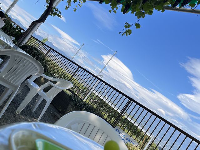 VCǂiFӂǂōłI_O[vK[fS_