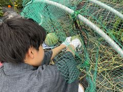 ݂イ݂イ̃R~jP[Vt@Ng[ւ̓eʐ^1