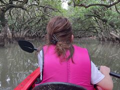 ̂肳񂳂̃}O[uւ̓eʐ^1