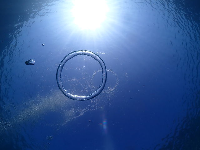 ouO__CrOT[rX@Smiley Dive