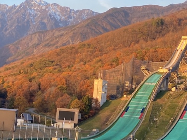 �C����5���قǁA�h���΍�͕K�{�ł��I_���n���C�I���A�h�x���`���[