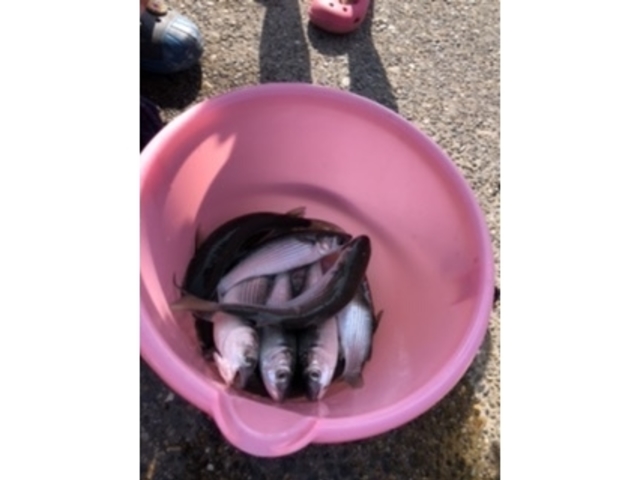 ��������ނ�܂���_�C�̉Ɓ@�߂�