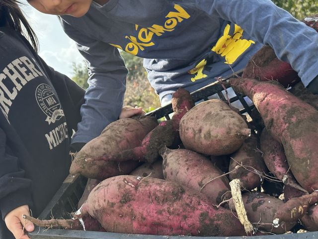 ���@��̌�_����_�� �����