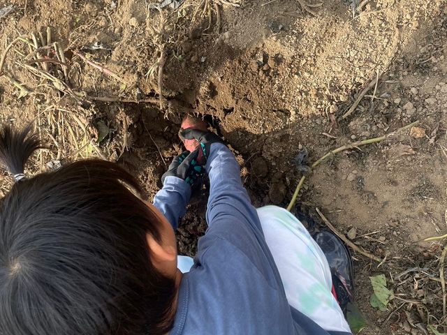 ���@��̌�_����_�� �����