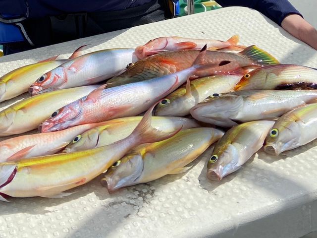 �ނꂽ!!_�炢�����