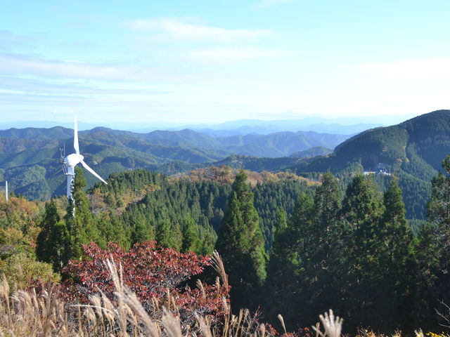 �ߕP�����W�]�䂩��̉��]_�ߕP����