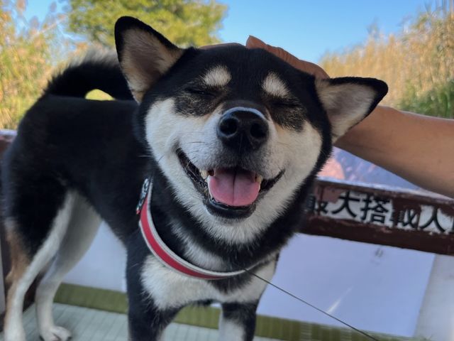 JKȂǂȂ琅ăLL
BƂĂł܂_̂Ɓ@܂