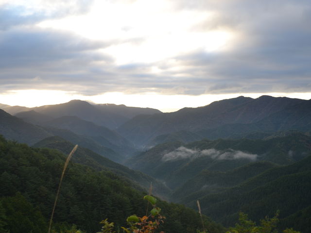 ���̓��͉_�C�͏������������܂���ł����B�c�O_�_�C