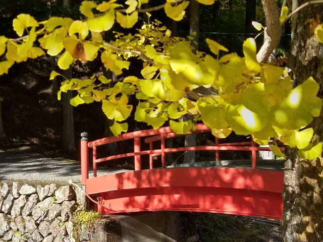 zeO̐_Ђ̋ǂꂢɍgtĂ܂B_씗쉷@zê