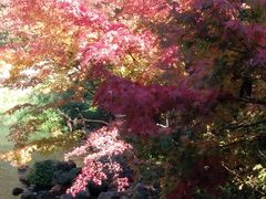 �Ȃ���̍��쉷�򗷊ّg���ւ̓��e�ʐ^1