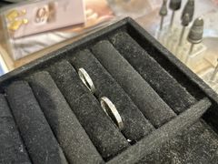 �C�m�X�P����̑��V���o�[�����O������̌� �r�W���I�y���ւ̓��e�ʐ^1