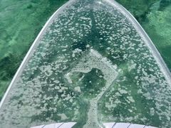 mPOWER MARINEip[}jꍡAmւ̓eʐ^1