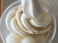 south westiTEX@EGXgjւ̓eʐ^4