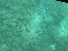 ݂イ̐약}T[rXւ̓eʐ^1