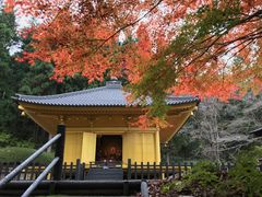 ZUNDAM����̗��j���������������̋��ւ̓��e�ʐ^1