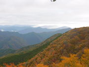 ͂Ȃӂǂ̍r_x̓eʐ^1