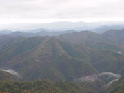 ͂Ȃӂǂ̍r_x̓eʐ^2