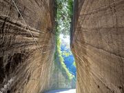 V^Ci[̓čt̐ؒʂgl̓eʐ^1