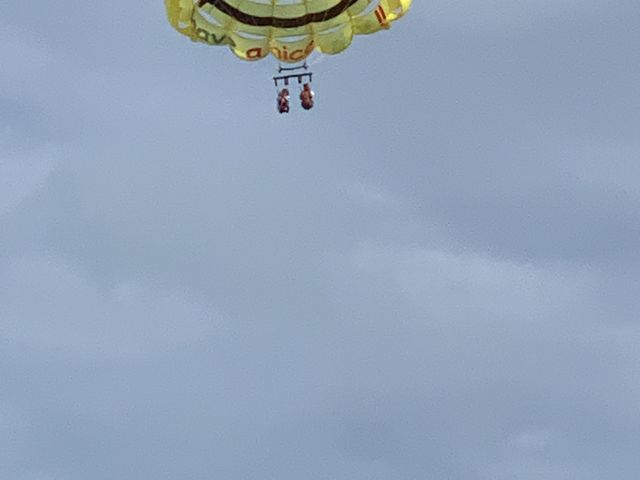 �ɂ������_�}�����A�C�����h