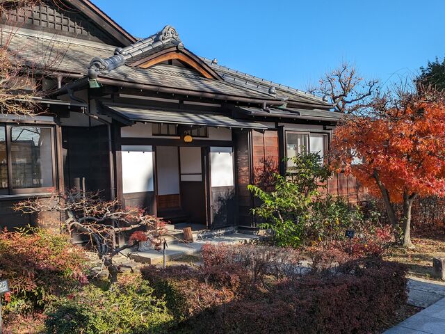 �ꉮ�͒n���̂������A��Ȃǂɂ悭���p�����悤�ł��B_���x�ؓ@