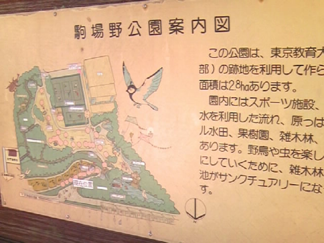 ���_�w���Ւn�̋�������}�b�v_������w���{�w����ꔎ���فi���p�����قƎ��R�Ȋw�����فj