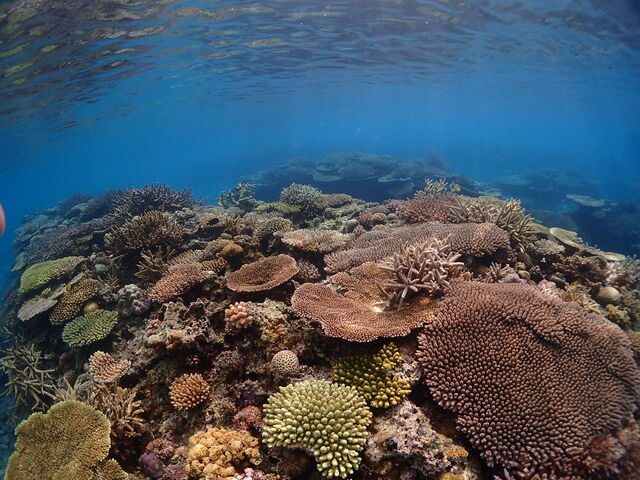 ���v�C�����@�V���m�[�P�����O_�_���f���C�I������