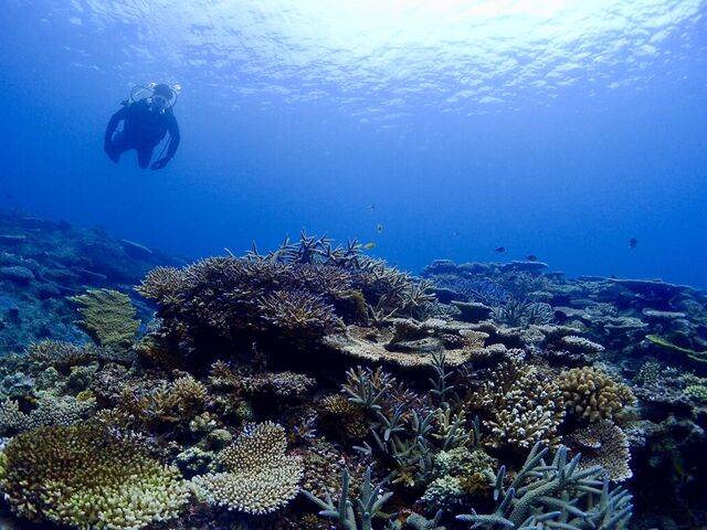 ���v�C�����@�_�C���r���O
_�_���f���C�I������