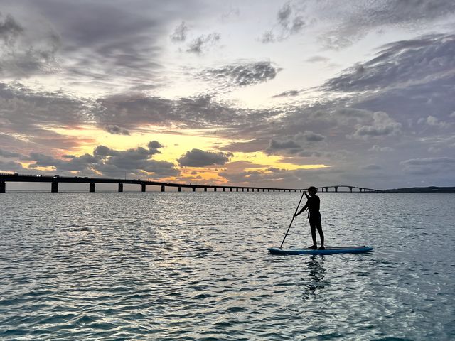 �s���D�ł����Ȃ�Ƃ������Ĉړ����Ă��܂�_���񂴂ɂ{�Ó�