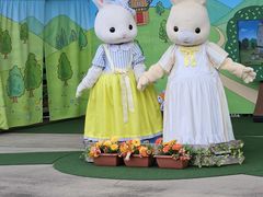 Ђł݂񂳂̍䥗΂̃~[WA n[xXg̋uւ̓eʐ^1