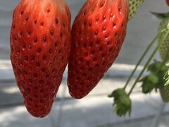 Ă̕όAOXl΂ւ̓eʐ^1