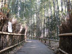 Touko̒|т̓ւ̓eʐ^1