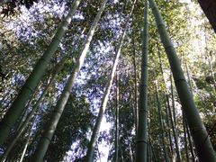 Touko̒|т̓ւ̓eʐ^2