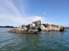 ݂񂳂̐AEghAZ^[ւ̓eʐ^1