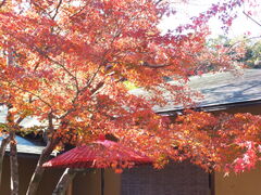 jR񂳂̈bώRւ̓eʐ^2