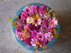 jR񂳂̈bώRւ̓eʐ^3