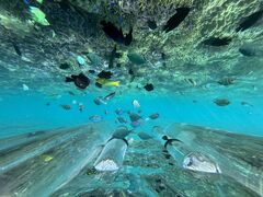 M@S@M!̉}X^WIւ̓eʐ^1