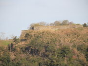 �C�C�ꃉ�C�_�[����̒Øa���Ղ̓��e�ʐ^2