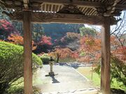 ߋT|~̒x̃ccW̓eʐ^1