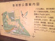 Tv̓w{wꔎفipقƎRȊwفj̓eʐ^7