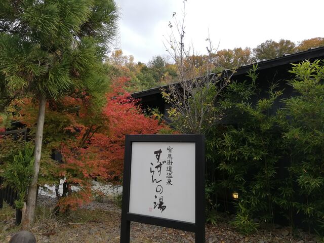 �������̓�_�L�n�X�����򂷂����̓�