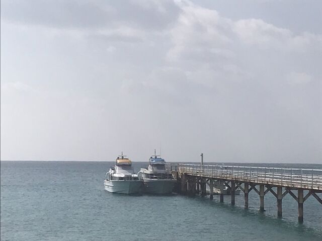 �V�������ɓn�����D_������ЂƂ�����